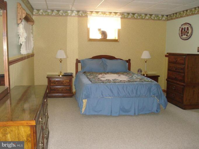 3351 Flickinger Road Westminster, MD 21158 - Photo 22 of 29 Bedroom #4