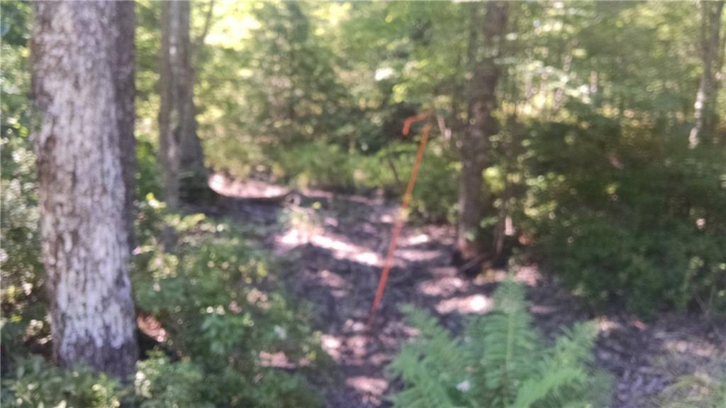 Lot 4 Boundary Road Steep Falls, ME 04085 - Photo 5 of 12 Survey Pin for Lots 3 & 4