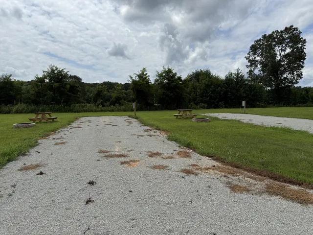 a view of a grassy area with an trees