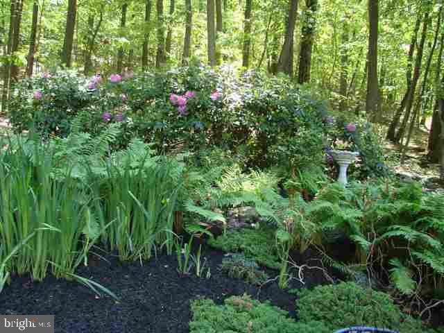1291 Kuhn Road Boiling Springs, PA 17007 - Photo 19 of 24 Gallery Image 19