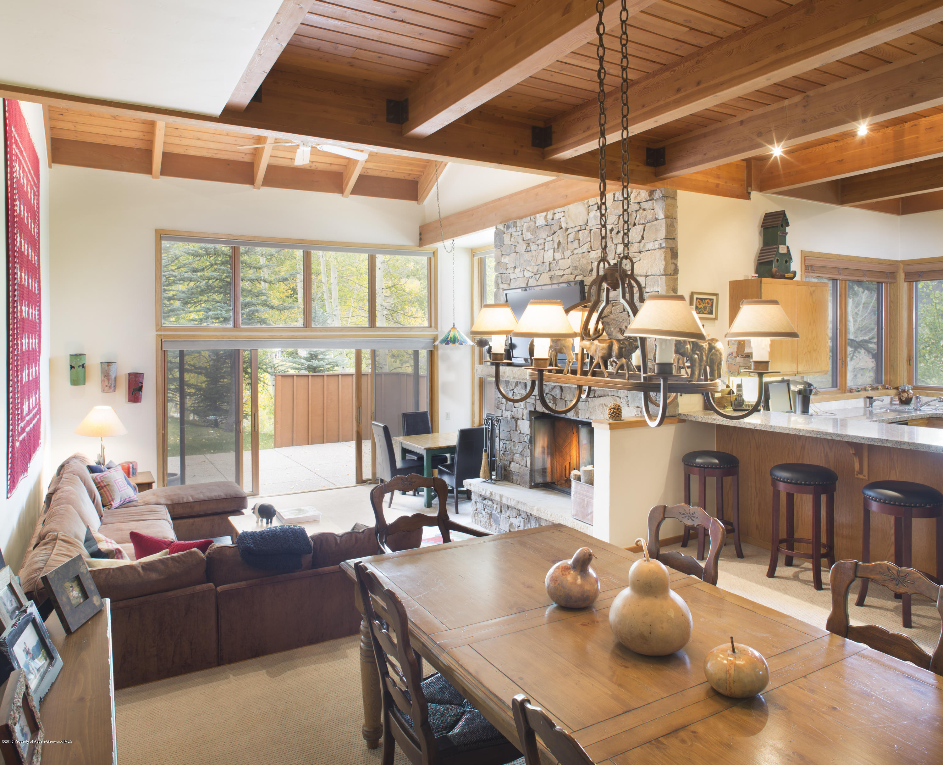 770 Ridge Road, Unit #18 Snowmass Village, CO 81615 - Photo 1 of 10 IMG_1070