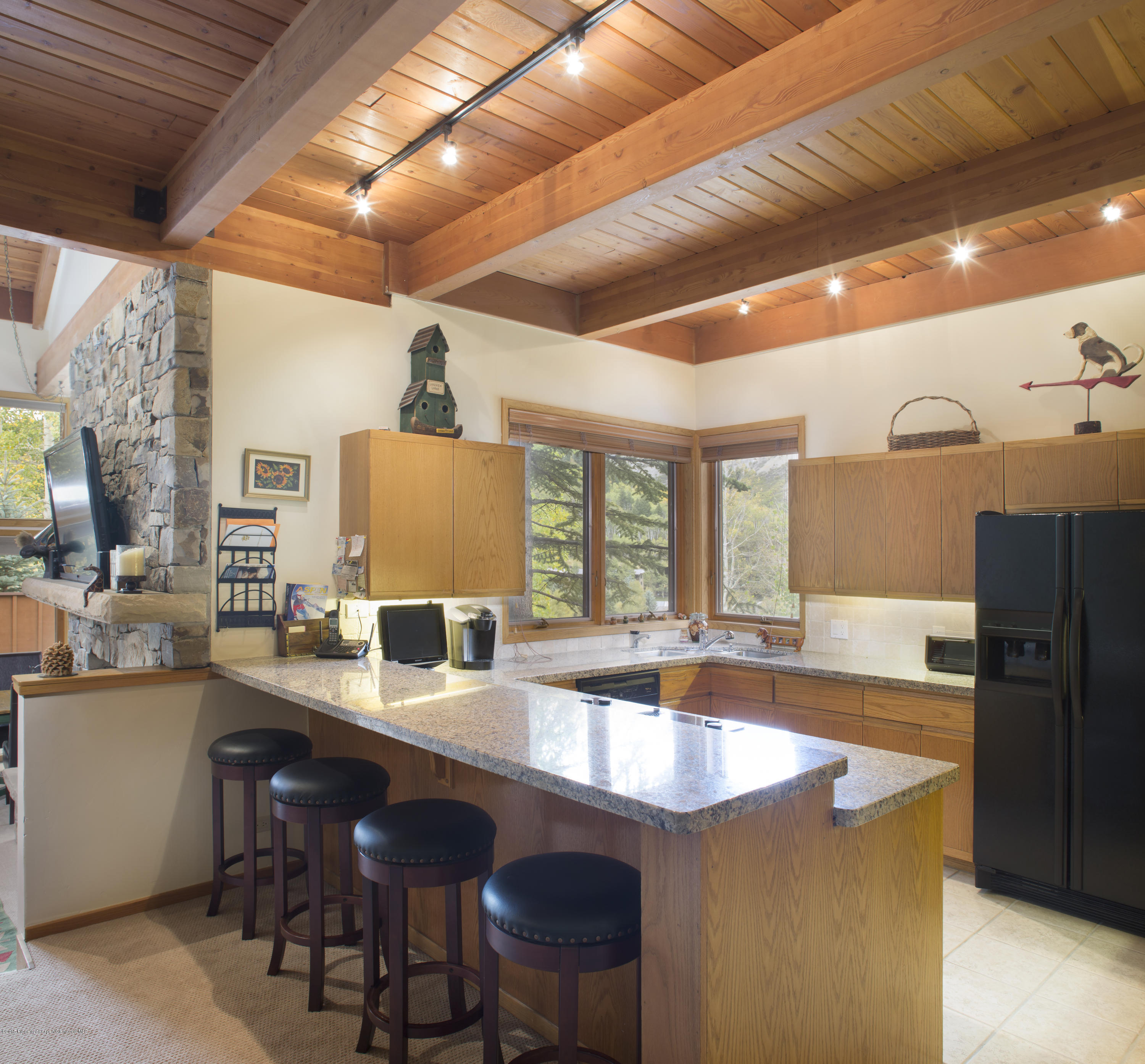 770 Ridge Road, Unit #18 Snowmass Village, CO 81615 - Photo 2 of 10 IMG_1112