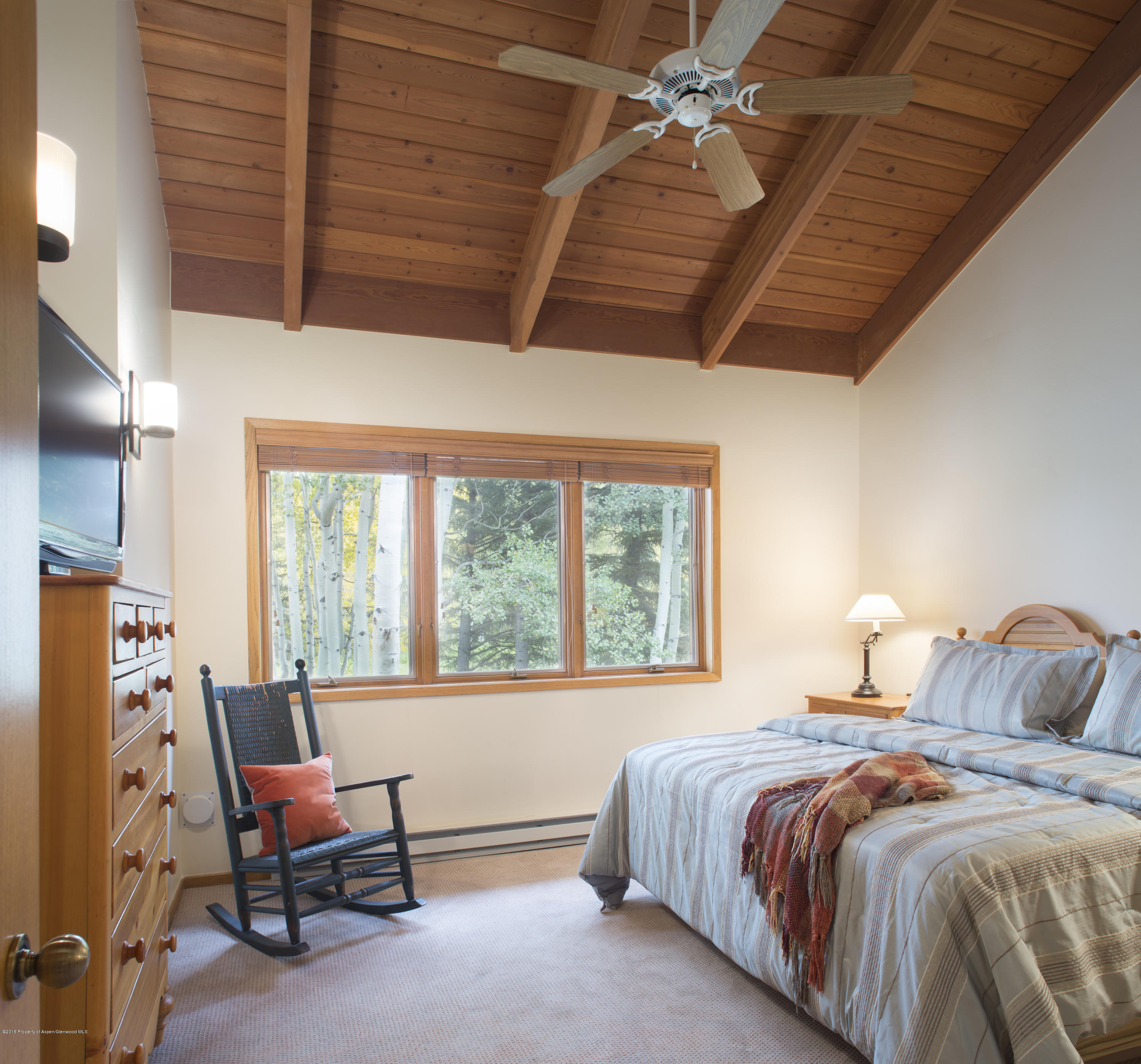 770 Ridge Road, Unit #18 Snowmass Village, CO 81615 - Photo 5 of 10 IMG_0998
