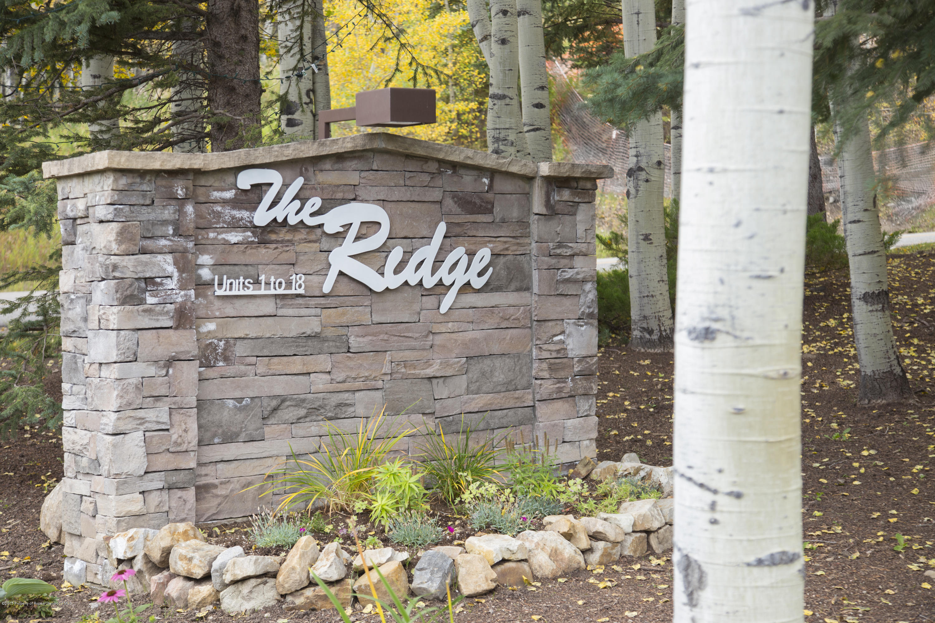 770 Ridge Road, Unit #18 Snowmass Village, CO 81615 - Photo 9 of 10 IMG_1136