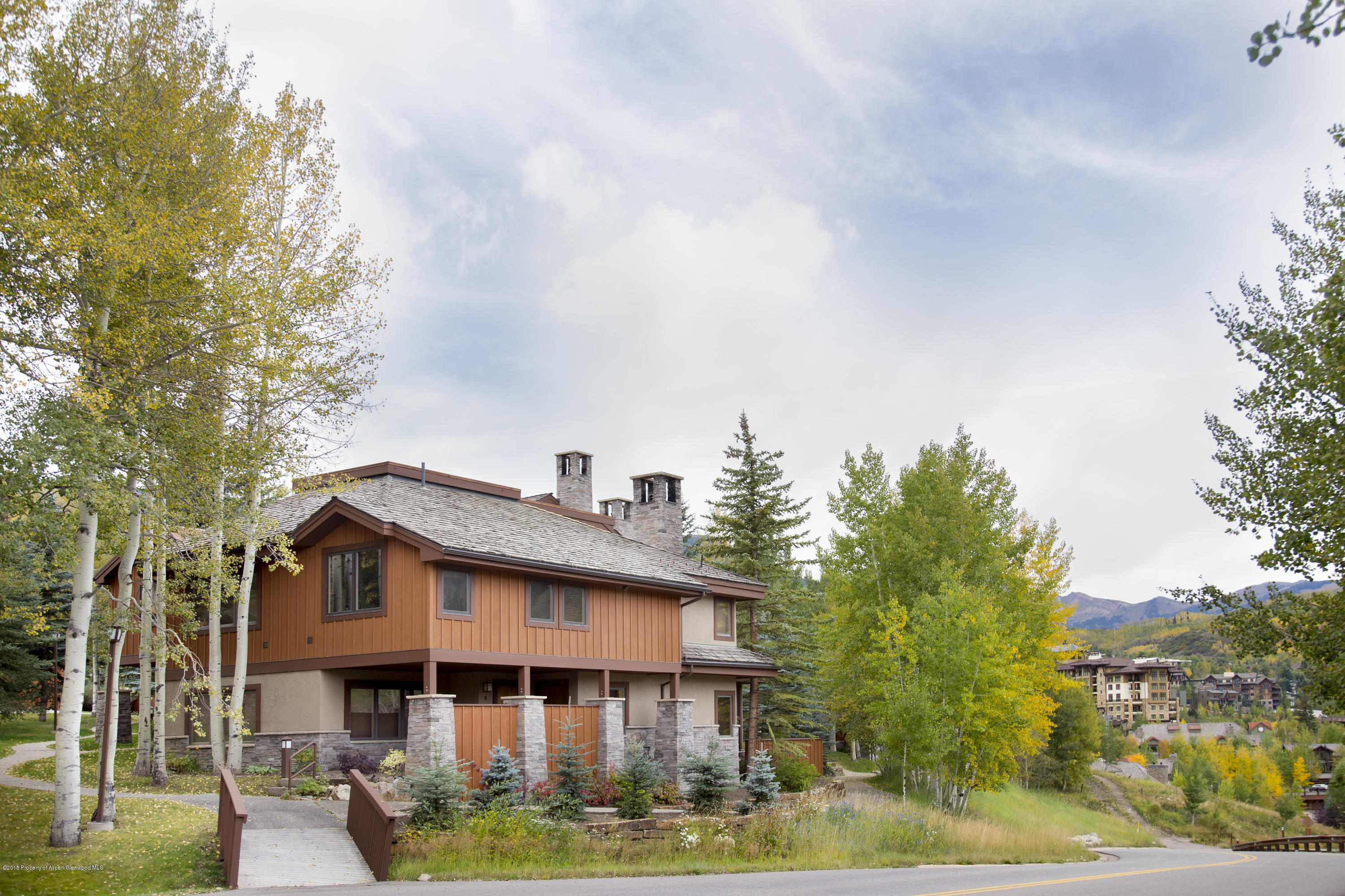 770 Ridge Road, Unit #18 Snowmass Village, CO 81615 - Photo 10 of 10 IMG_1157