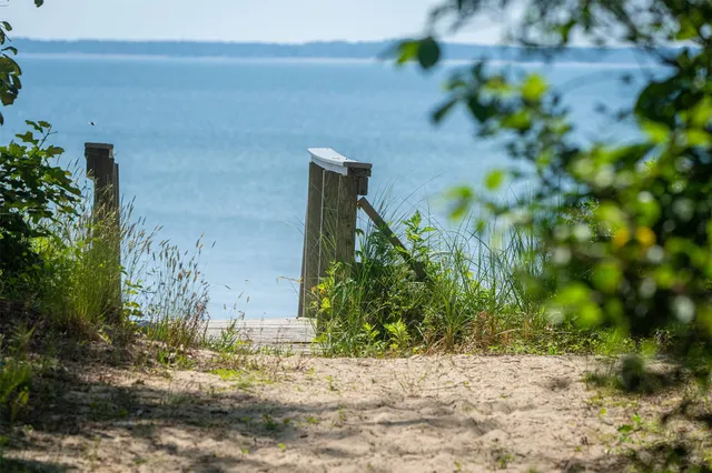 a view of a yard with plants