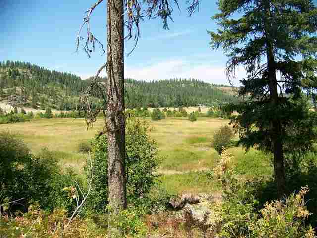 0 Springdale-Hunters Road Springdale, WA 99173 - Photo 1 of 8