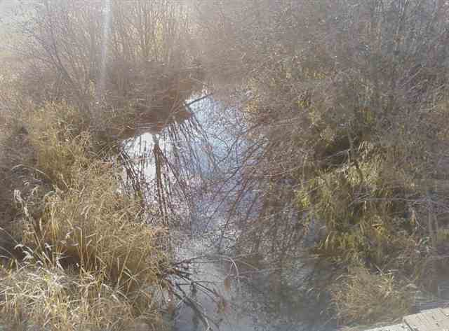 0 Springdale-Hunters Road Springdale, WA 99173 - Photo 2 of 8