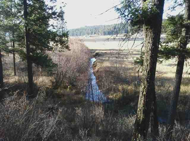 0 Springdale-Hunters Road Springdale, WA 99173 - Photo 3 of 8