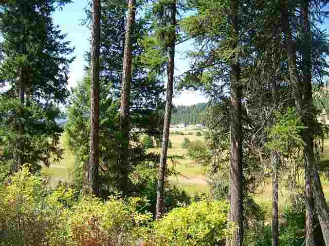 0 Springdale-Hunters Road Springdale, WA 99173 - Photo 5 of 8