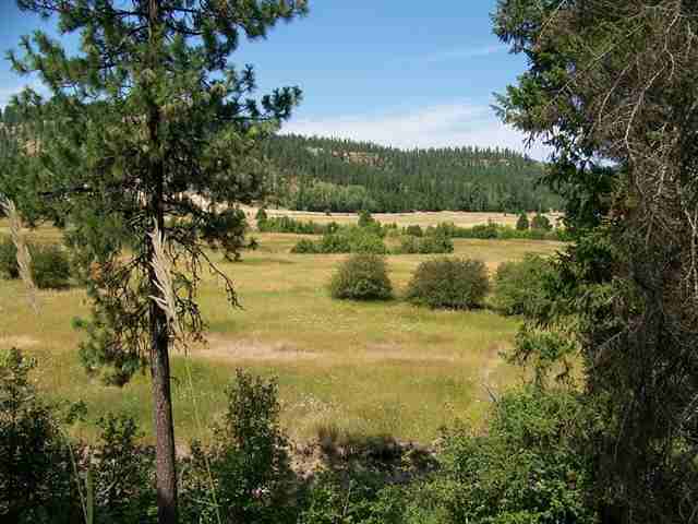 0 Springdale-Hunters Road Springdale, WA 99173 - Photo 7 of 8