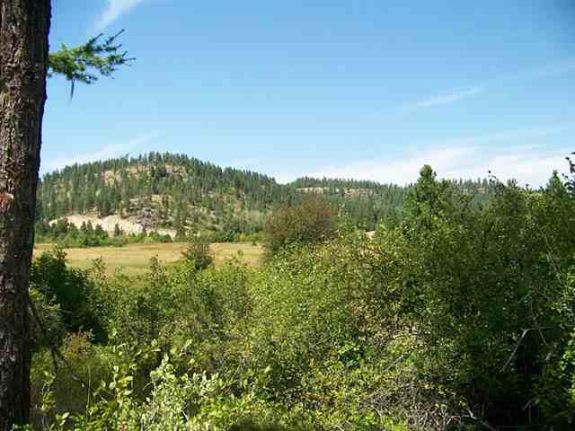0 Springdale-Hunters Road Springdale, WA 99173 - Photo 8 of 8