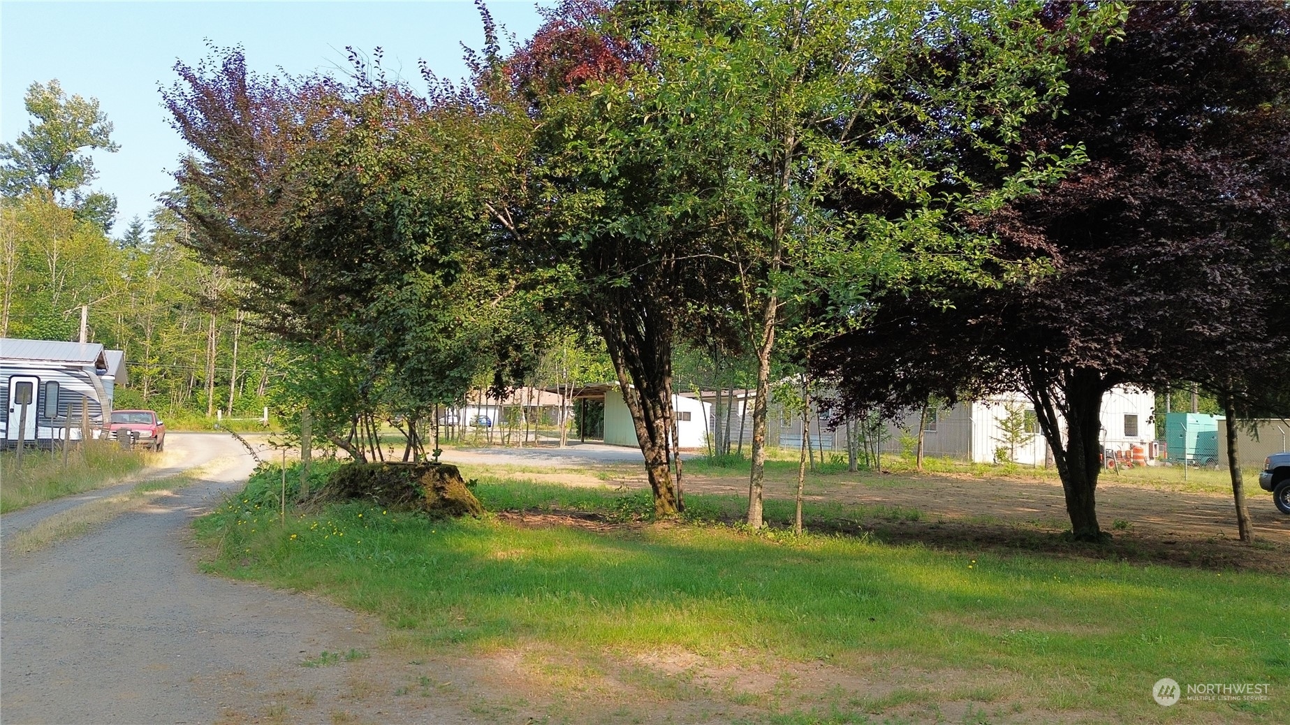 126 Chapman Road Morton, WA 98356 - Photo 3 of 8 a view of a park with tree s