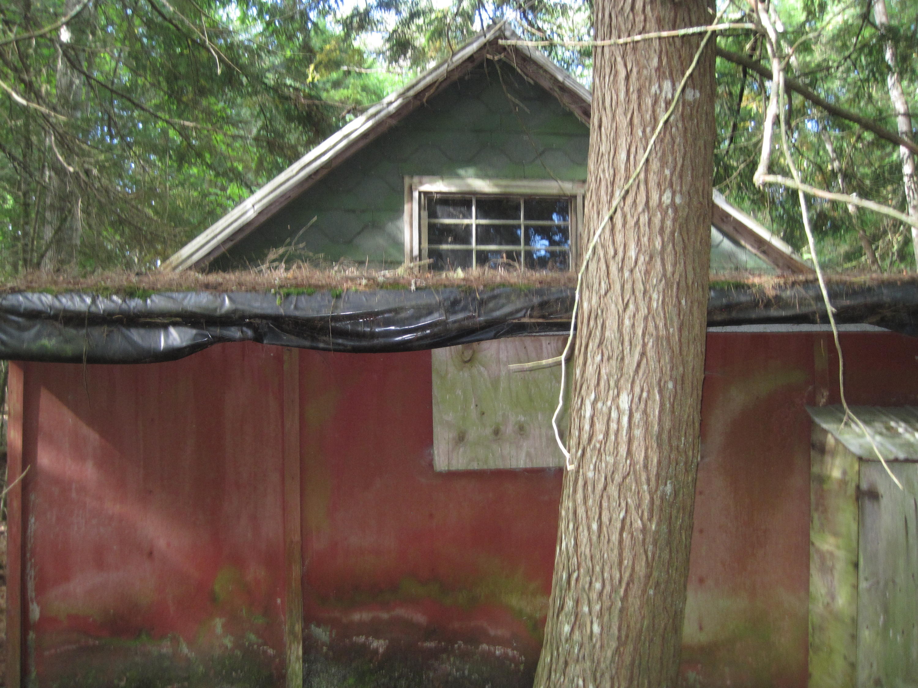 40 Pickerel Pond Road Greenbush, ME 04418 - Photo 5 of 8 IMG_0068