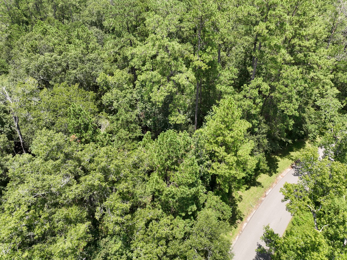 3 County Road 821 Buna, TX 77612 - Photo 13 of 15