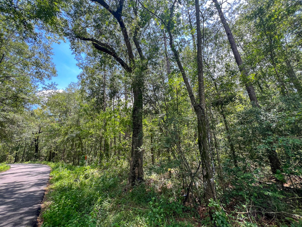 3 County Road 821 Buna, TX 77612 - Photo 3 of 15