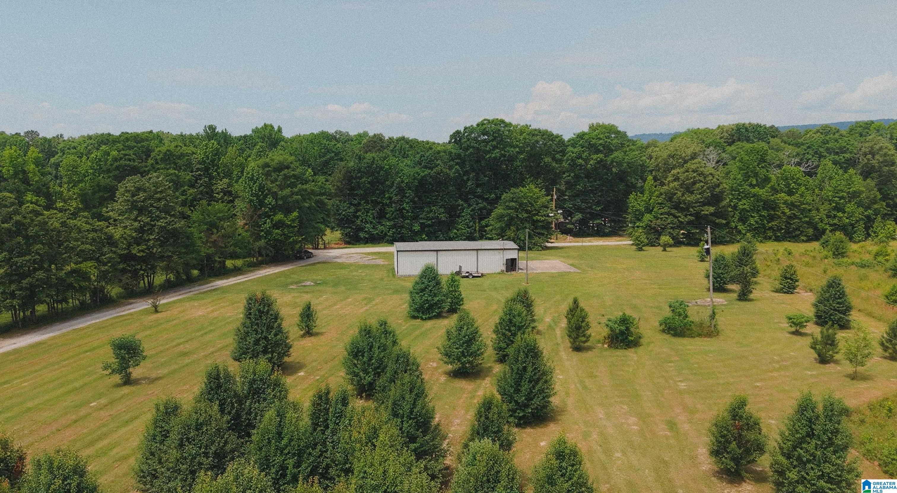 544 Fann Road Steele, AL 35987 - Photo 78 of 84