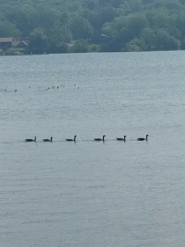 $115,000 | 1 Meadow View Drive, Unit 8, St. Albans Town, VT 05468