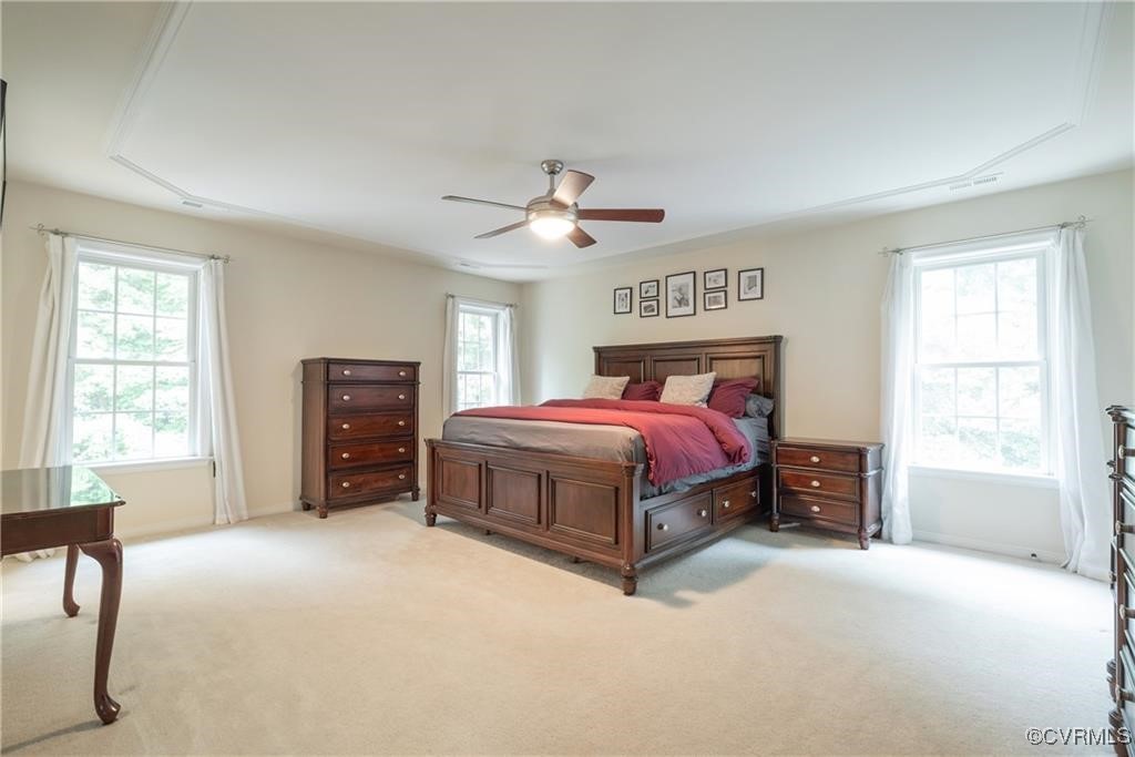862 Club Ridge Court Chester, VA 23836 - Photo 23 of 50 Bedroom with light carpet, multiple windows, and c