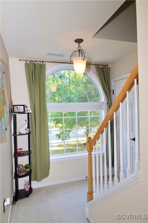 862 Club Ridge Court Chester, VA 23836 - Photo 35 of 50 Stairs with carpet