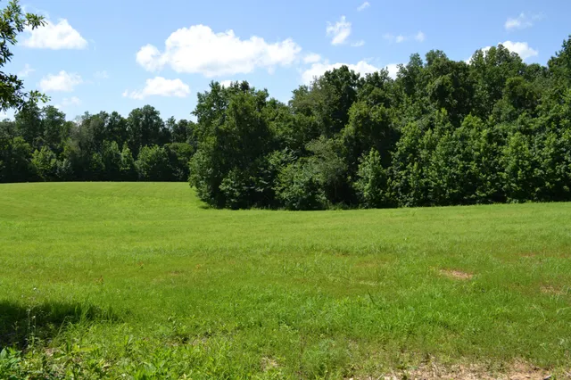 a view of field with trees in the background