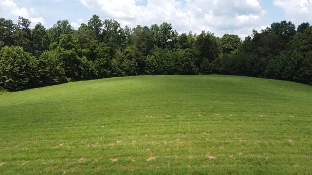 a view of a field with an trees