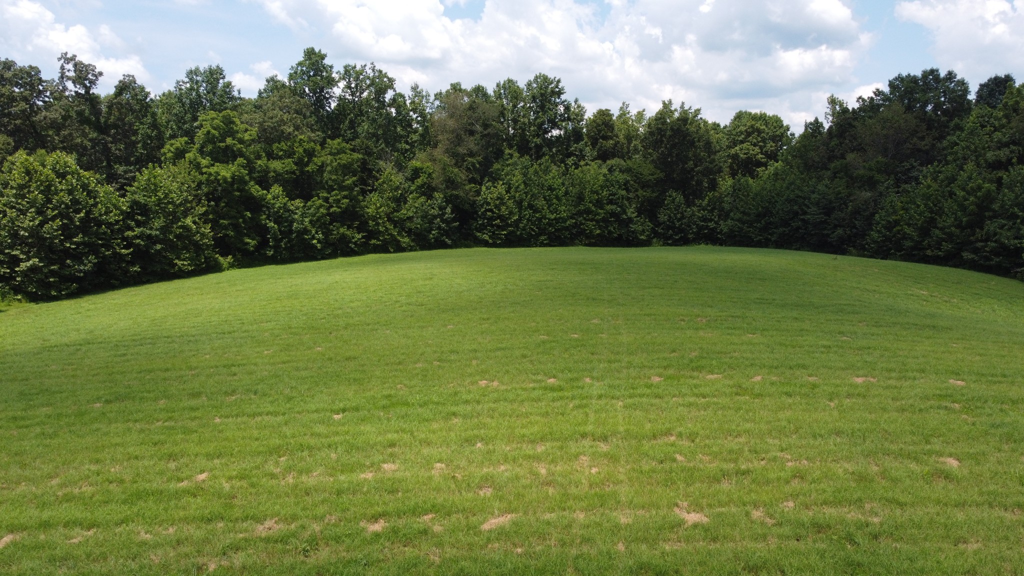 16 Hayes Ridge Road Indian Mound, TN 37079 - Photo 3 of 12 a view of a field with an trees