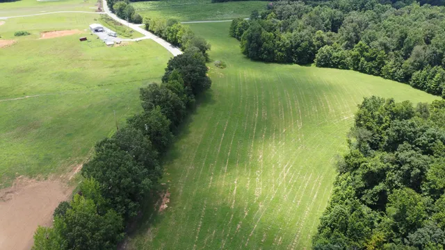 a view of a garden with a building