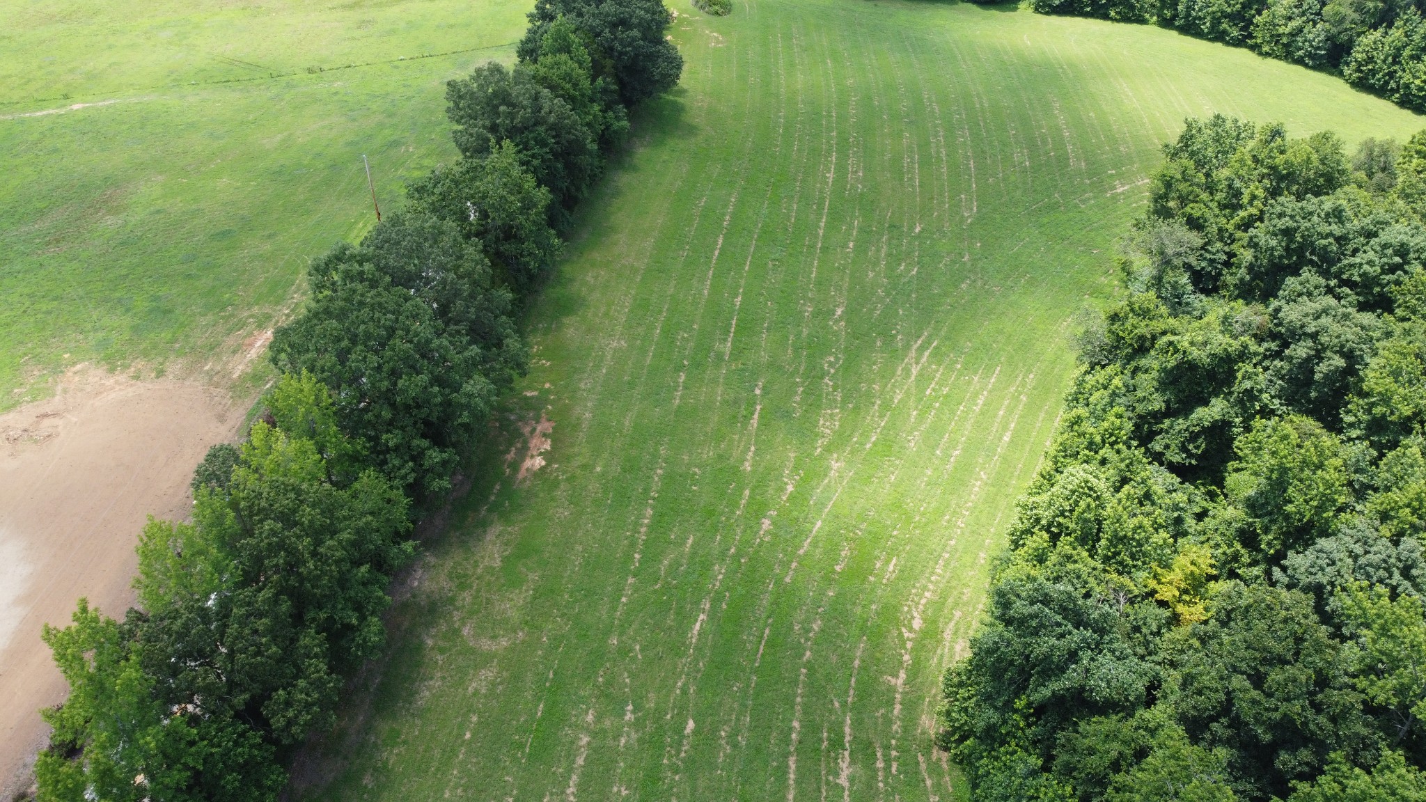 16 Hayes Ridge Road Indian Mound, TN 37079 - Photo 6 of 12 a view of a garden