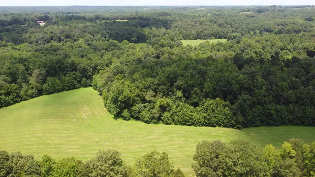 a view of a field with an ocean view