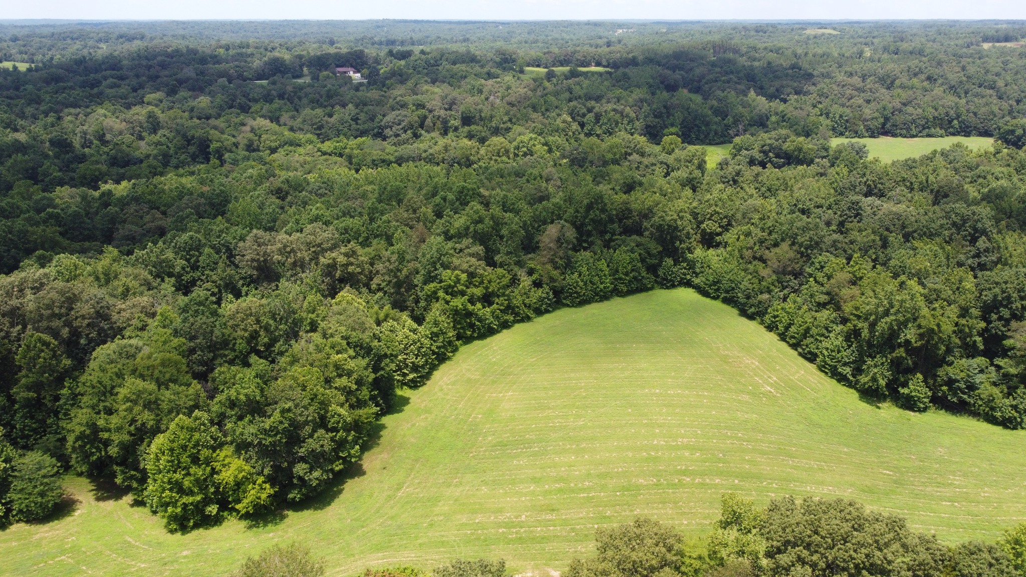 16 Hayes Ridge Road Indian Mound, TN 37079 - Photo 8 of 12 a view of a large trees with lush green forest