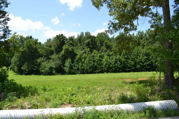 a view of garden with trees in the background