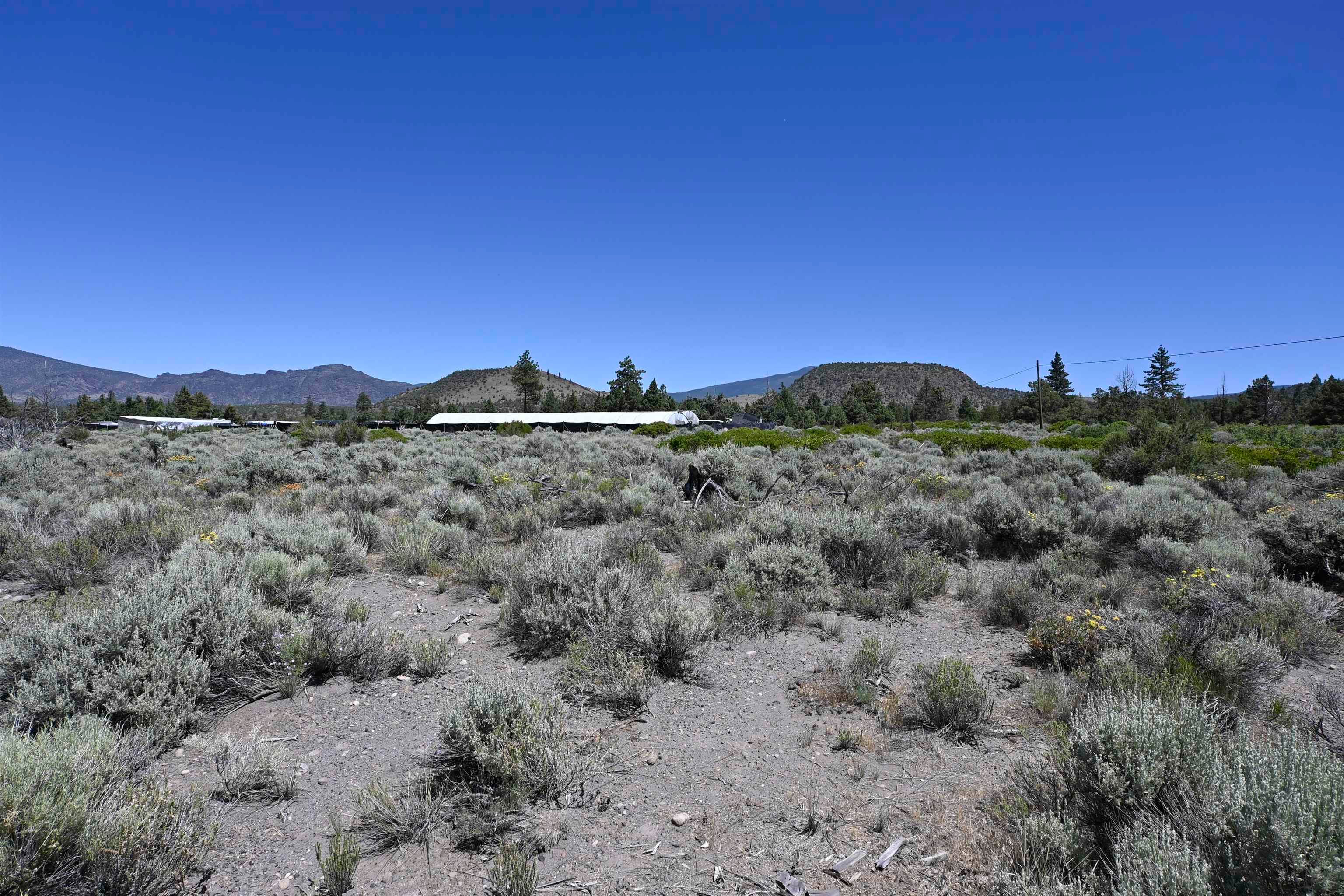 Lot 09 Timber Road Montague, CA 96064 - Photo 5 of 19 Gallery Image 5