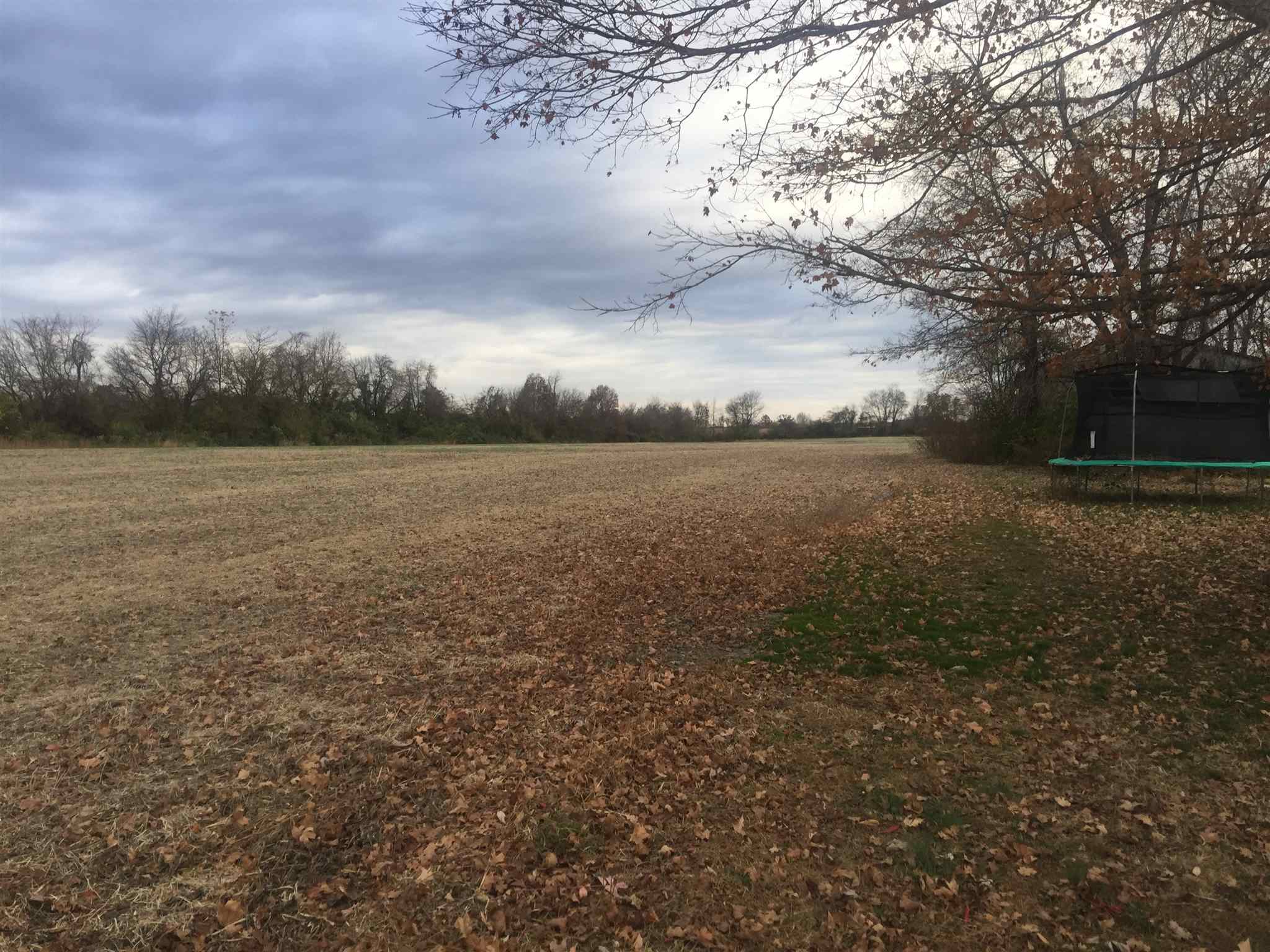 1897 West Harrison Road Murphysboro, IL 62966 - Photo 12 of 13
