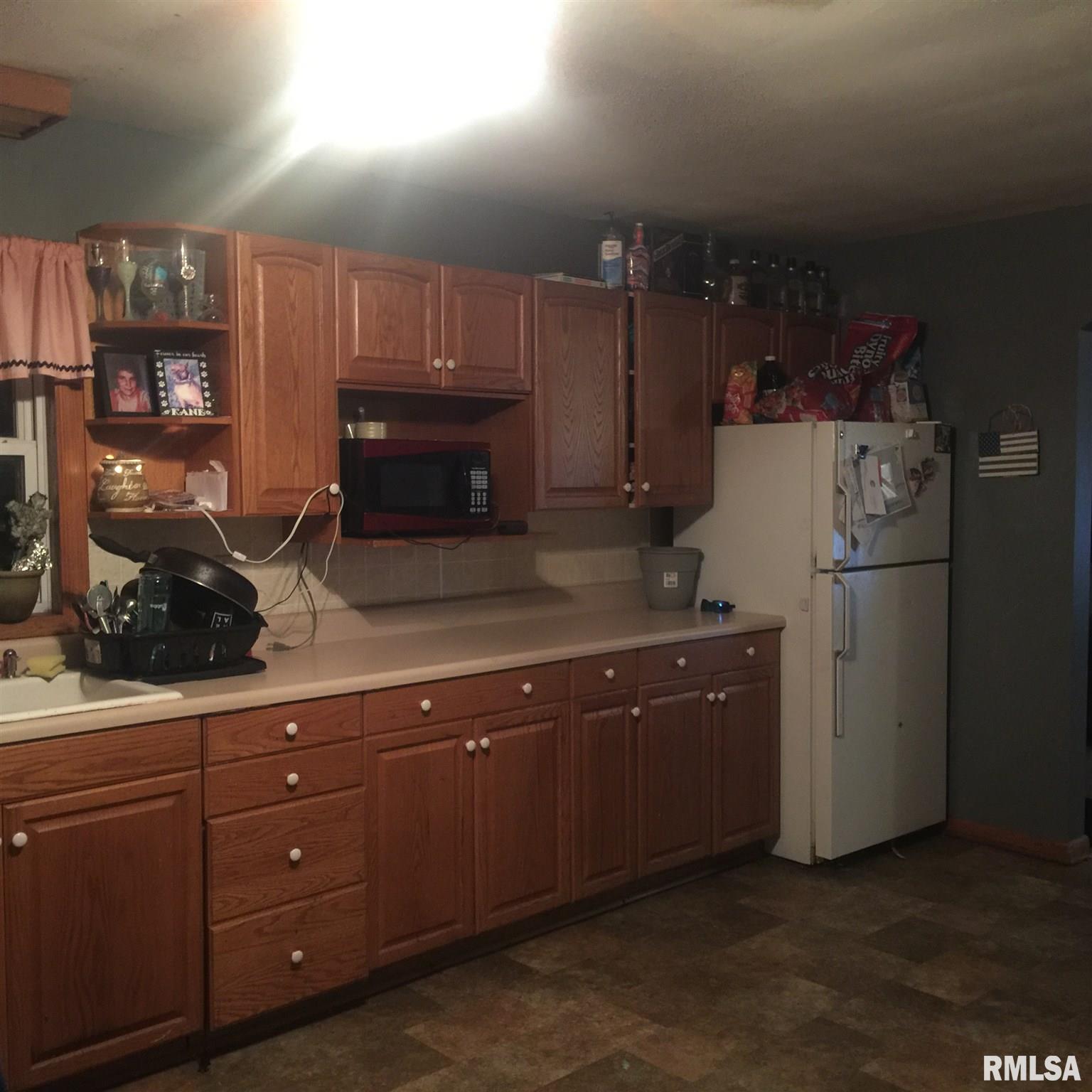1897 West Harrison Road Murphysboro, IL 62966 - Photo 3 of 13