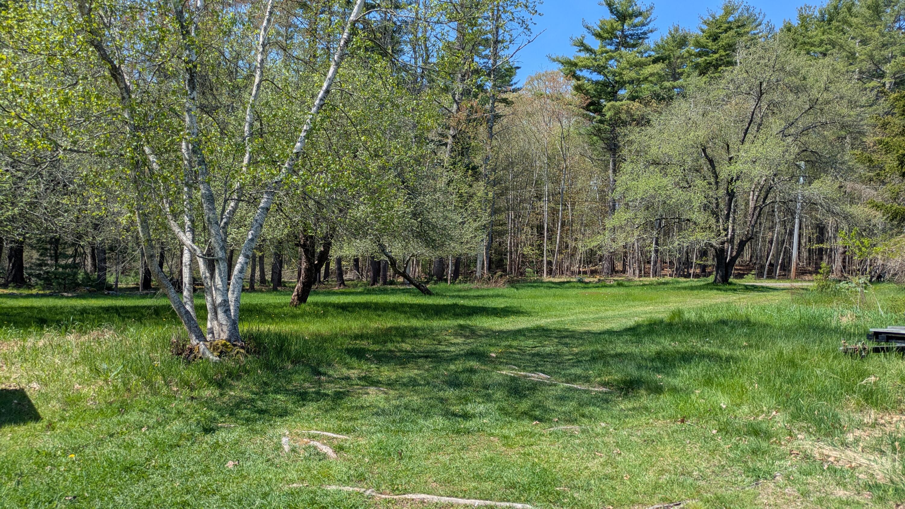 43 Flying Point Road Georgetown, ME 04548 - Photo 5 of 64 PXL_20260519_143201032