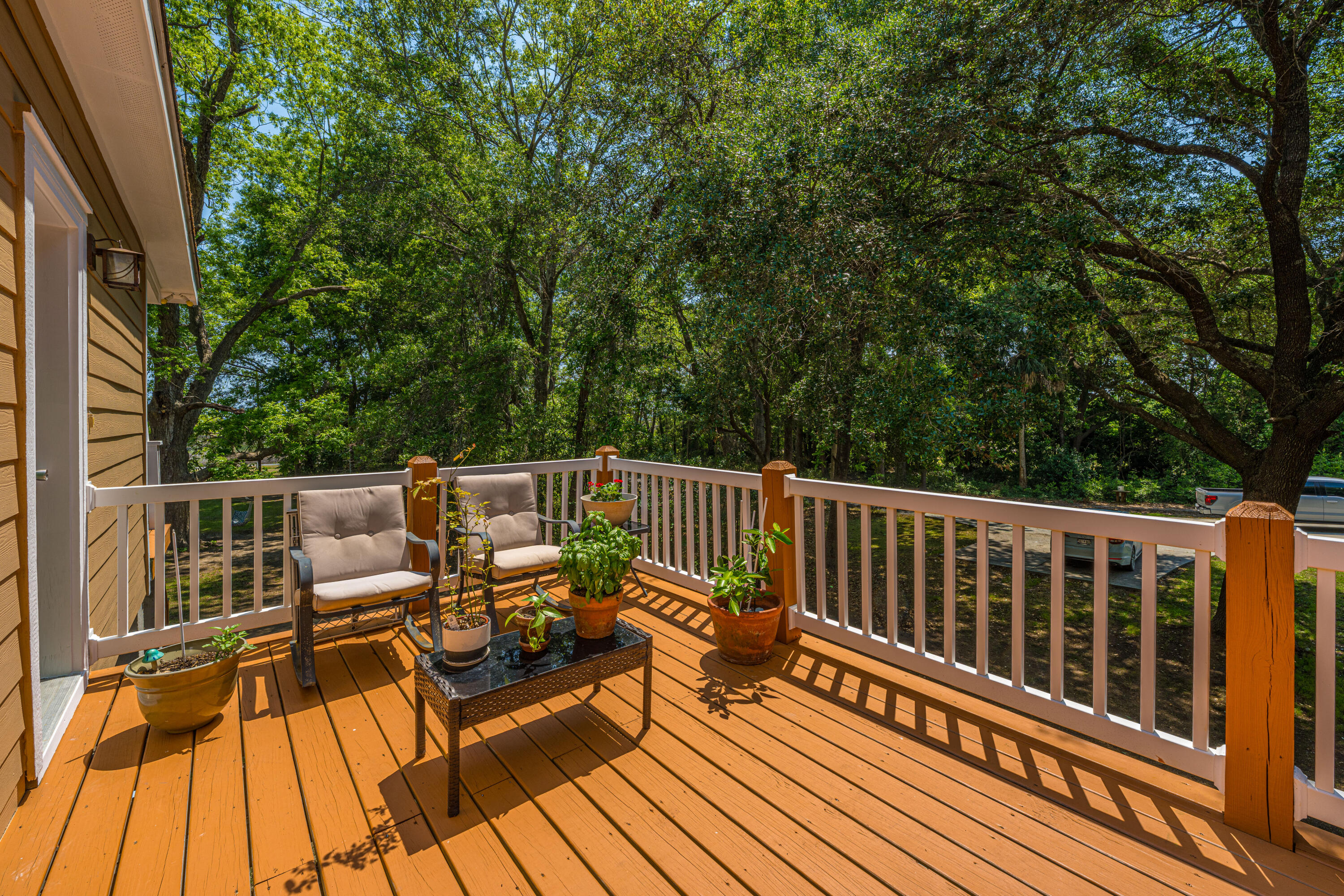 7650 Point Of Pines Road Edisto Island, SC 29438 - Photo 28 of 49 7650PointOfPinesRd039