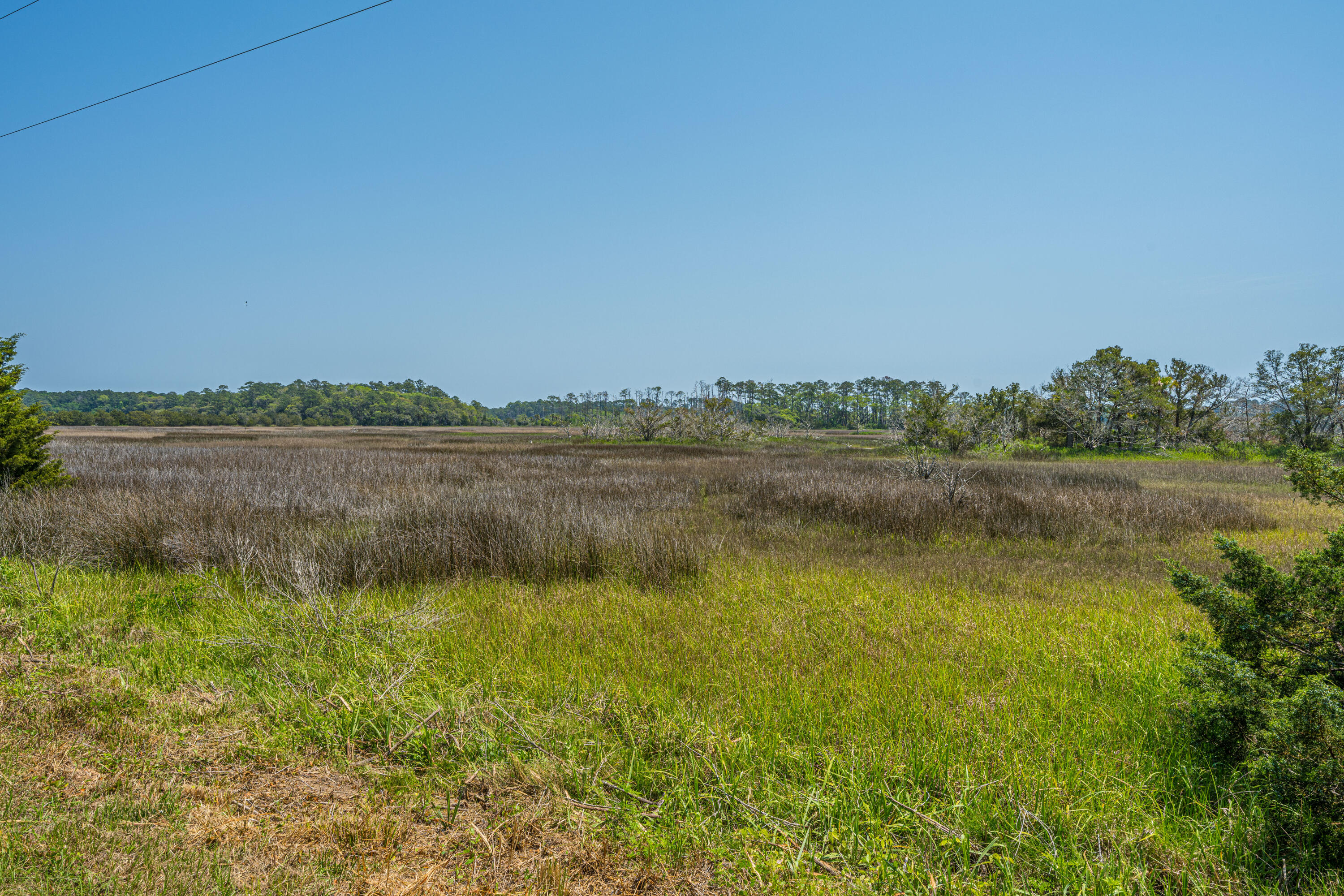 7650 Point Of Pines Road Edisto Island, SC 29438 - Photo 35 of 49 7650PointOfPinesRd049