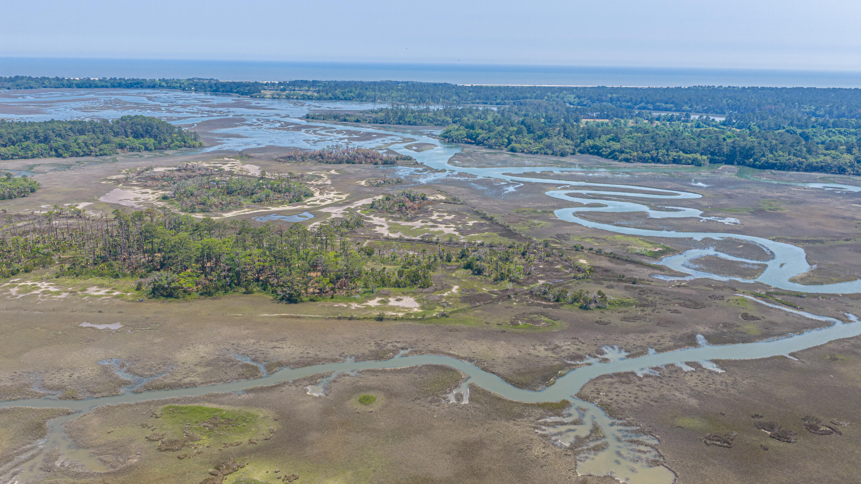 7650 Point Of Pines Road Edisto Island, SC 29438 - Photo 45 of 49 7650PointOfPinesRd075