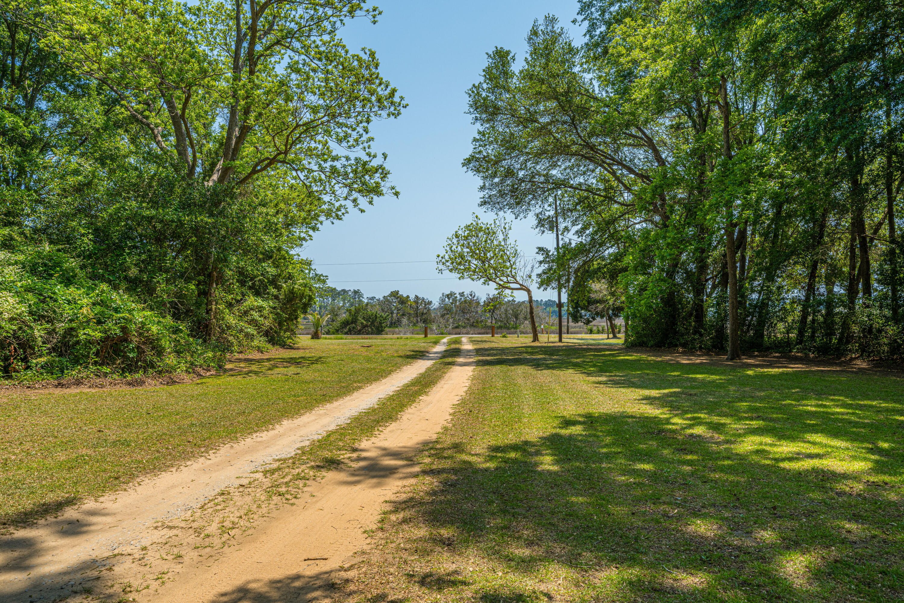 7650 Point Of Pines Road Edisto Island, SC 29438 - Photo 7 of 49 7650PointOfPinesRd008