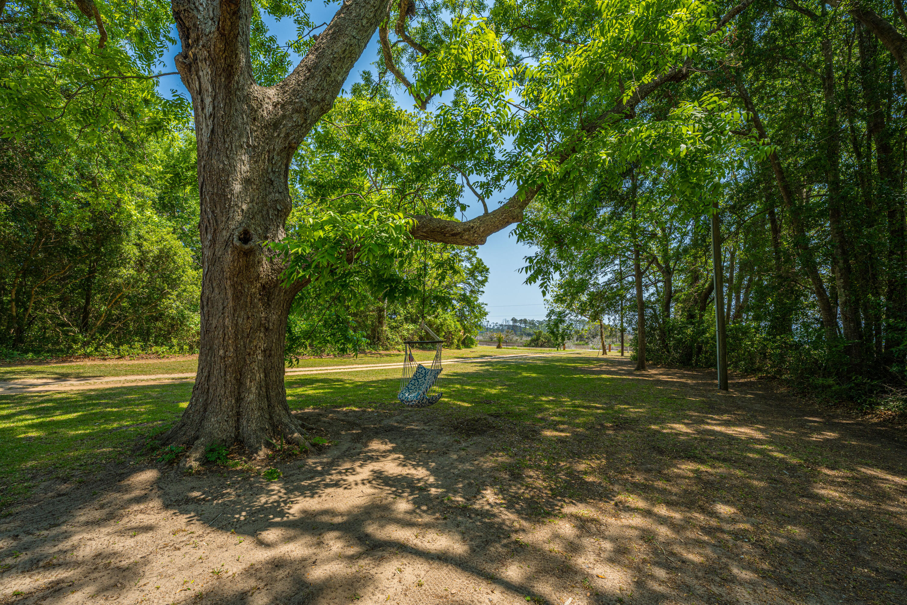 7650 Point Of Pines Road Edisto Island, SC 29438 - Photo 8 of 49 7650PointOfPinesRd009