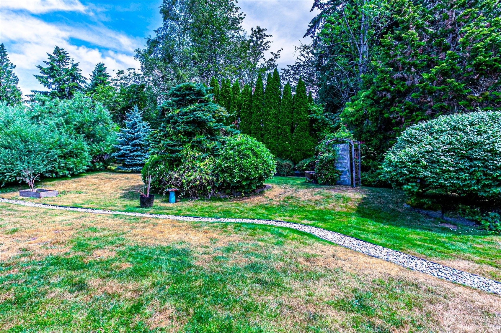 20462 98th Place South Kent, WA 98031 - Photo 24 of 31 a view of a backyard with plants and large trees