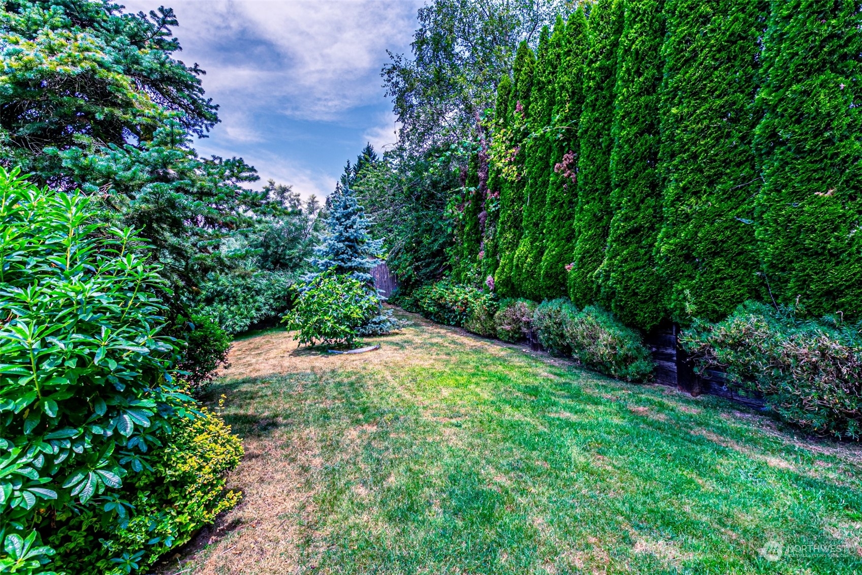 20462 98th Place South Kent, WA 98031 - Photo 25 of 31 a view of a yard with plants and large trees