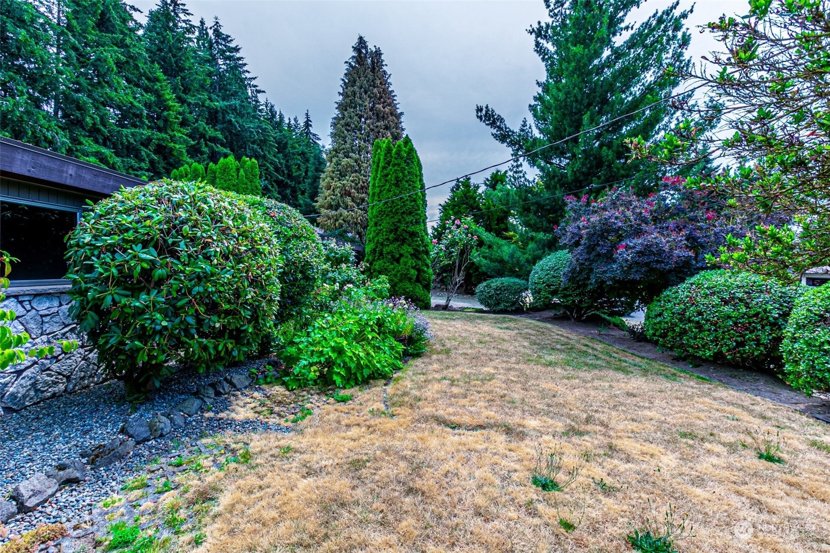 20462 98th Place South Kent, WA 98031 - Photo 29 of 31 a view of a garden with plants and large trees