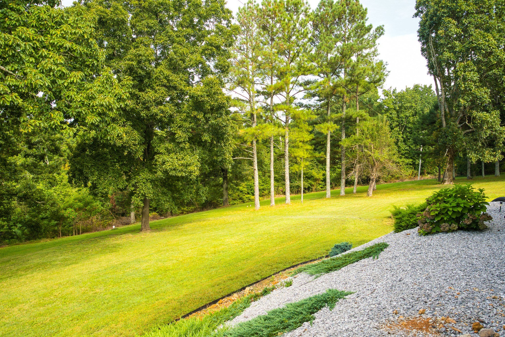 8830 West Sheepneck Road Mount Pleasant, TN 38474 - Photo 41 of 46 Gallery Image 41