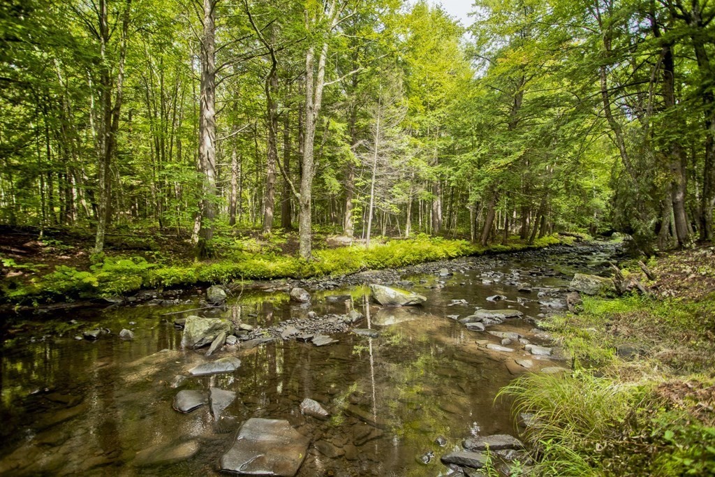 447 A Watson Spruce Corner Road Ashfield, MA 01330 - Photo 2 of 42 Gallery Image 2