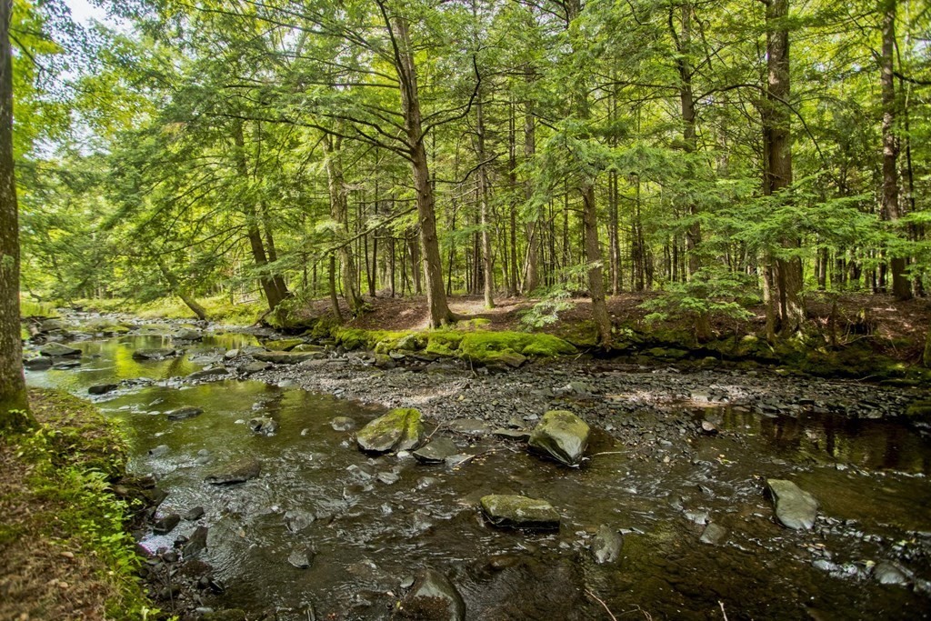 447 A Watson Spruce Corner Road Ashfield, MA 01330 - Photo 3 of 42 Gallery Image 3