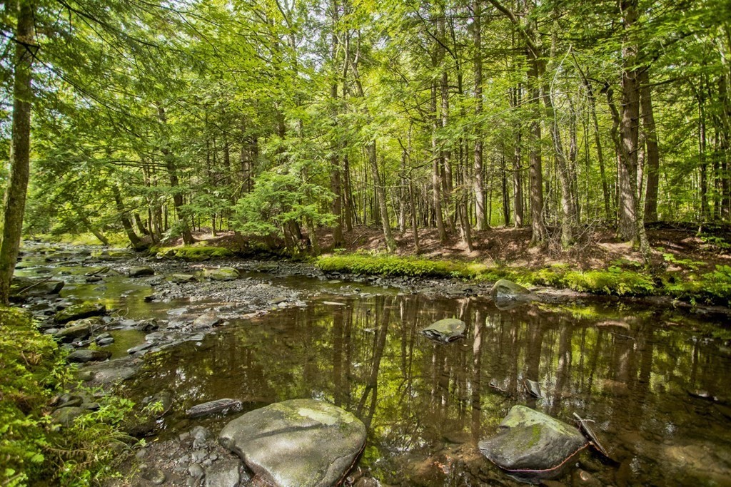 447 A Watson Spruce Corner Road Ashfield, MA 01330 - Photo 41 of 42 Gallery Image 41