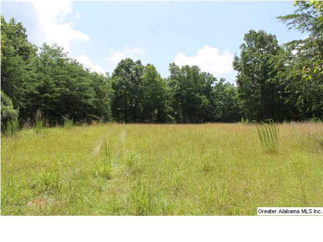 793 County Road, Unit 460 Centre, AL 35960 - Photo 1 of 11