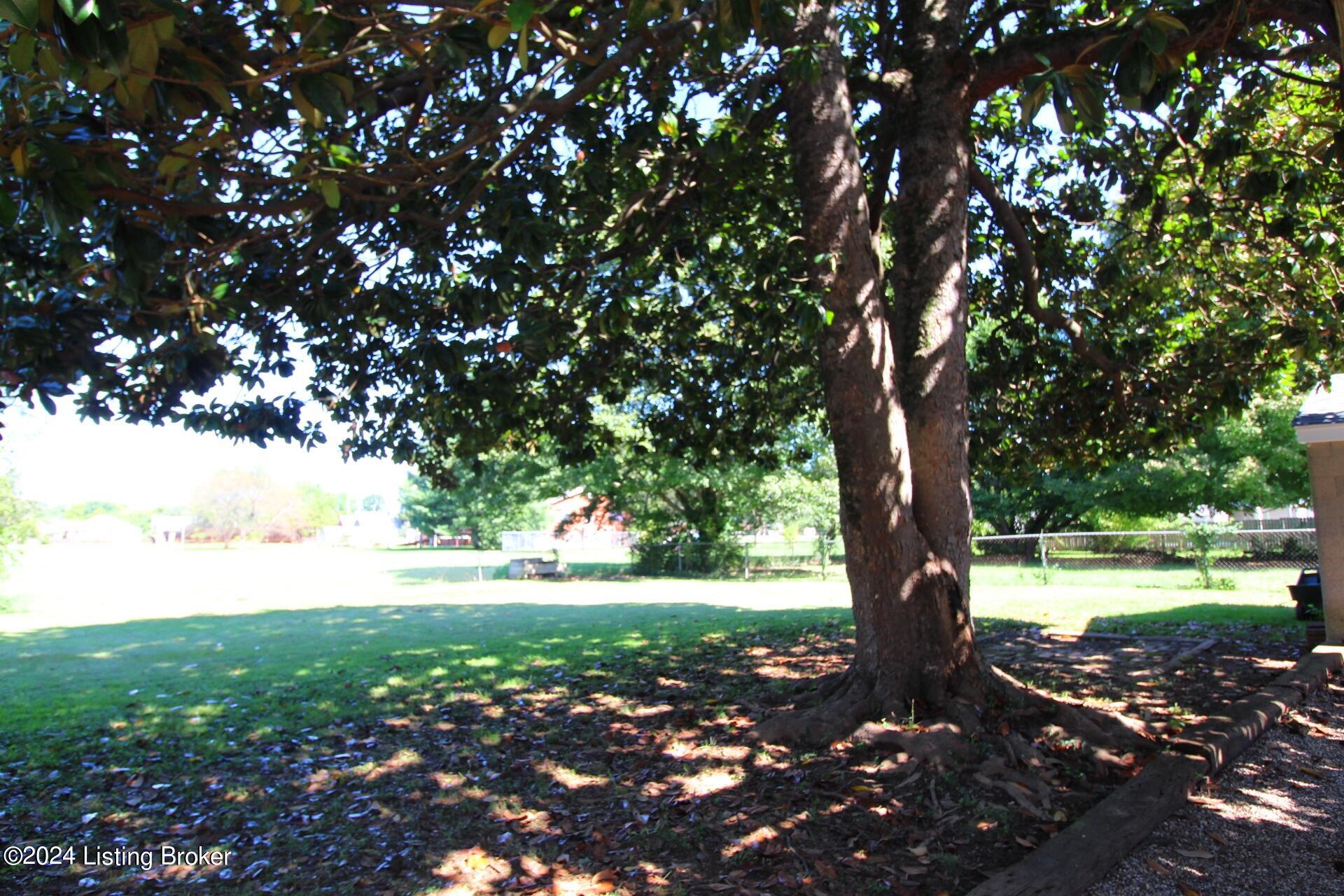 6511 Delton Road Louisville, KY 40258 - Photo 66 of 73 IMG_5782